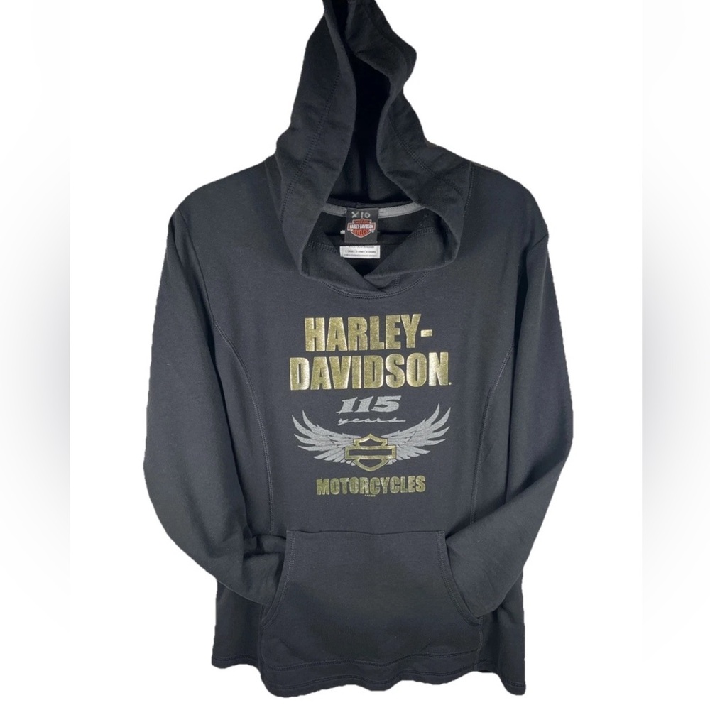 Harley Davison Hoodie 115 Years Glacial Lakes Water Town Women’s Size‎ L